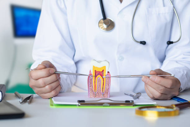 Best Root Canal Emergency Dentist  in Coal Grove, OH